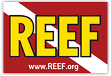 REEF.org